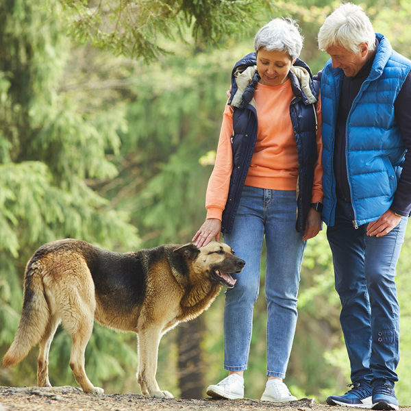 seniors-owning-pets.jpg 