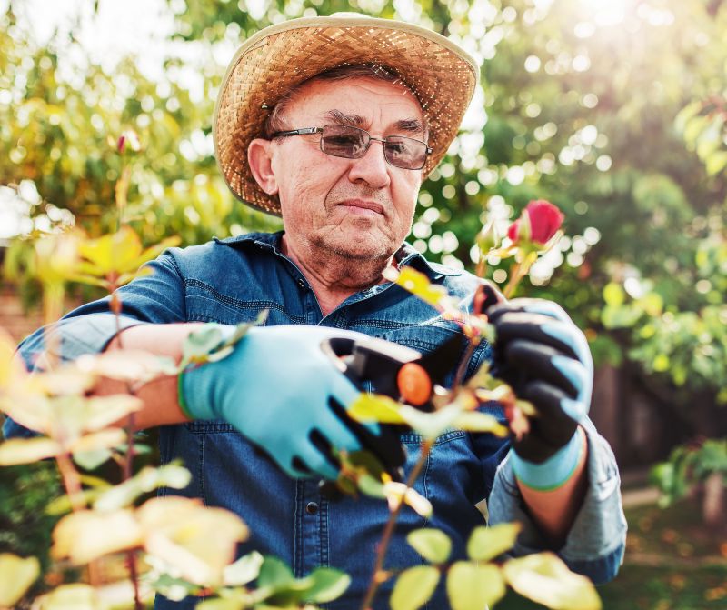 senior-gardener-cropped.jpg