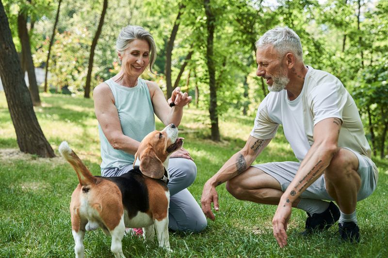 seniors-with-pets.jpg